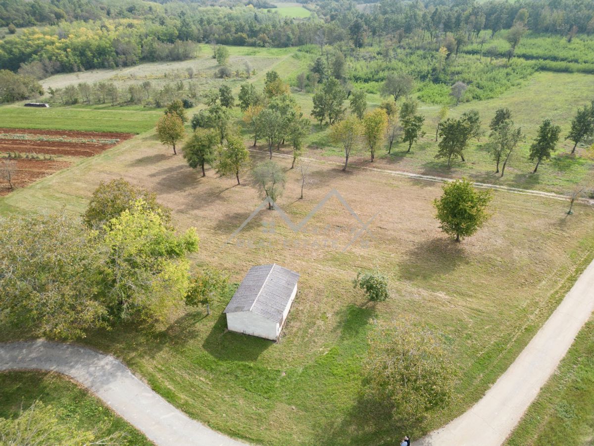 Zemljišče Poreč, 3.366m2