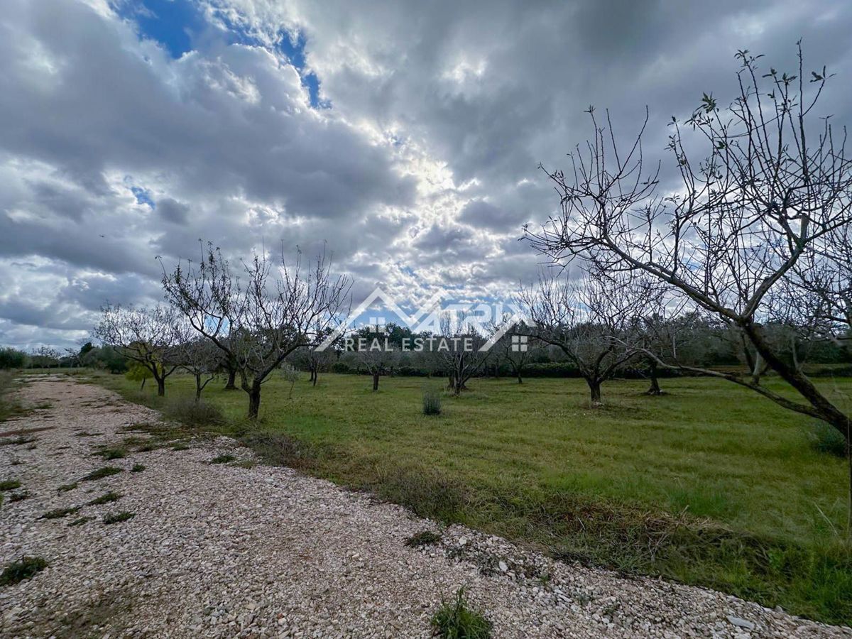 Vodnjan okolica, gradbena parcela 622 m² v mirnem delu Galižane