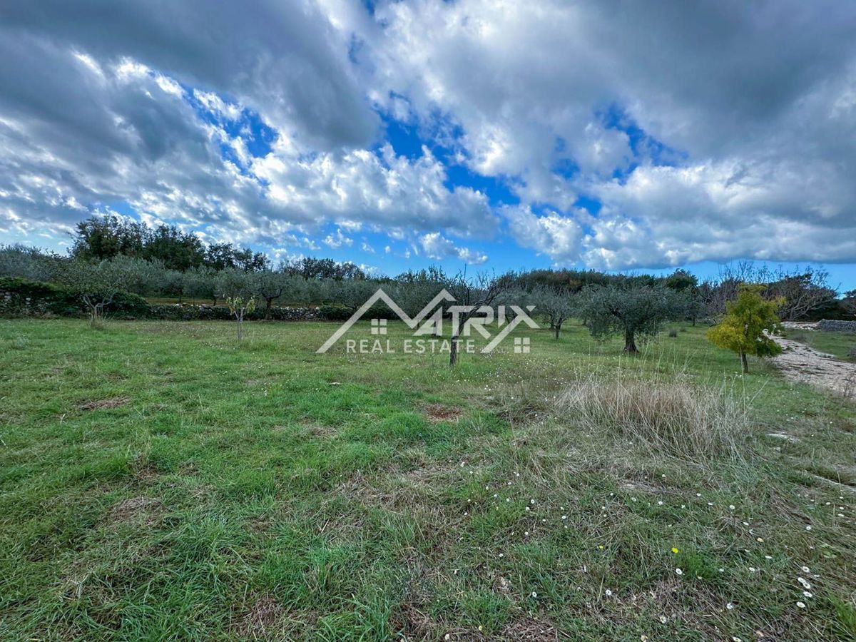 Vodnjan okolica, gradbena parcela 622 m² v mirnem delu Galižane