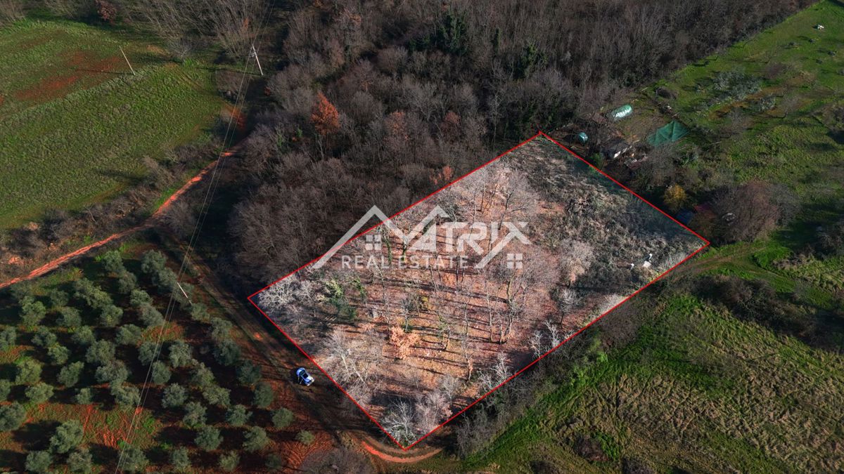 Umag – ograjena gozdna parcela 3.660 m² z vodnim priključkom na parceli, le 5 km od morja