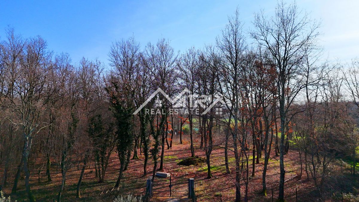 Umag – ograjena gozdna parcela 3.660 m² z vodnim priključkom na parceli, le 5 km od morja