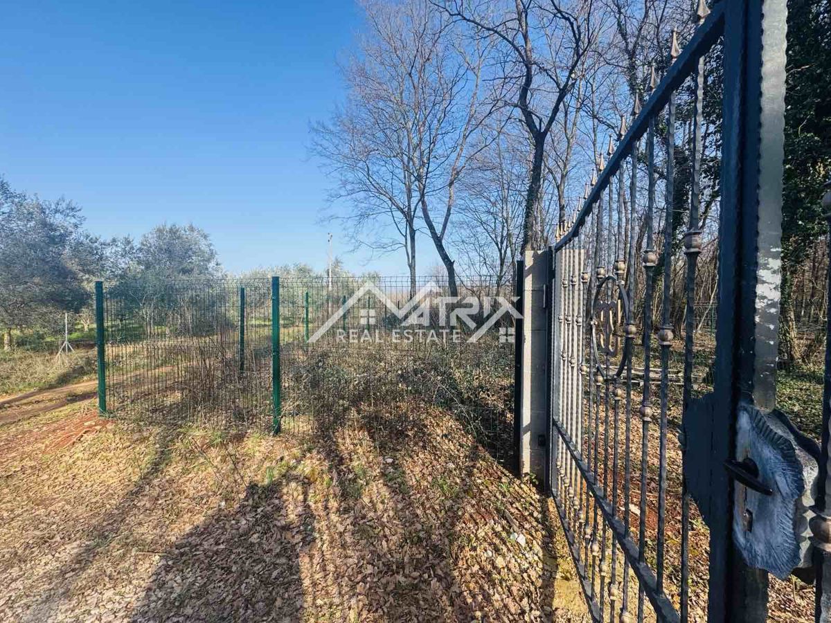 Umag – ograjena gozdna parcela 3.660 m² z vodnim priključkom na parceli, le 5 km od morja