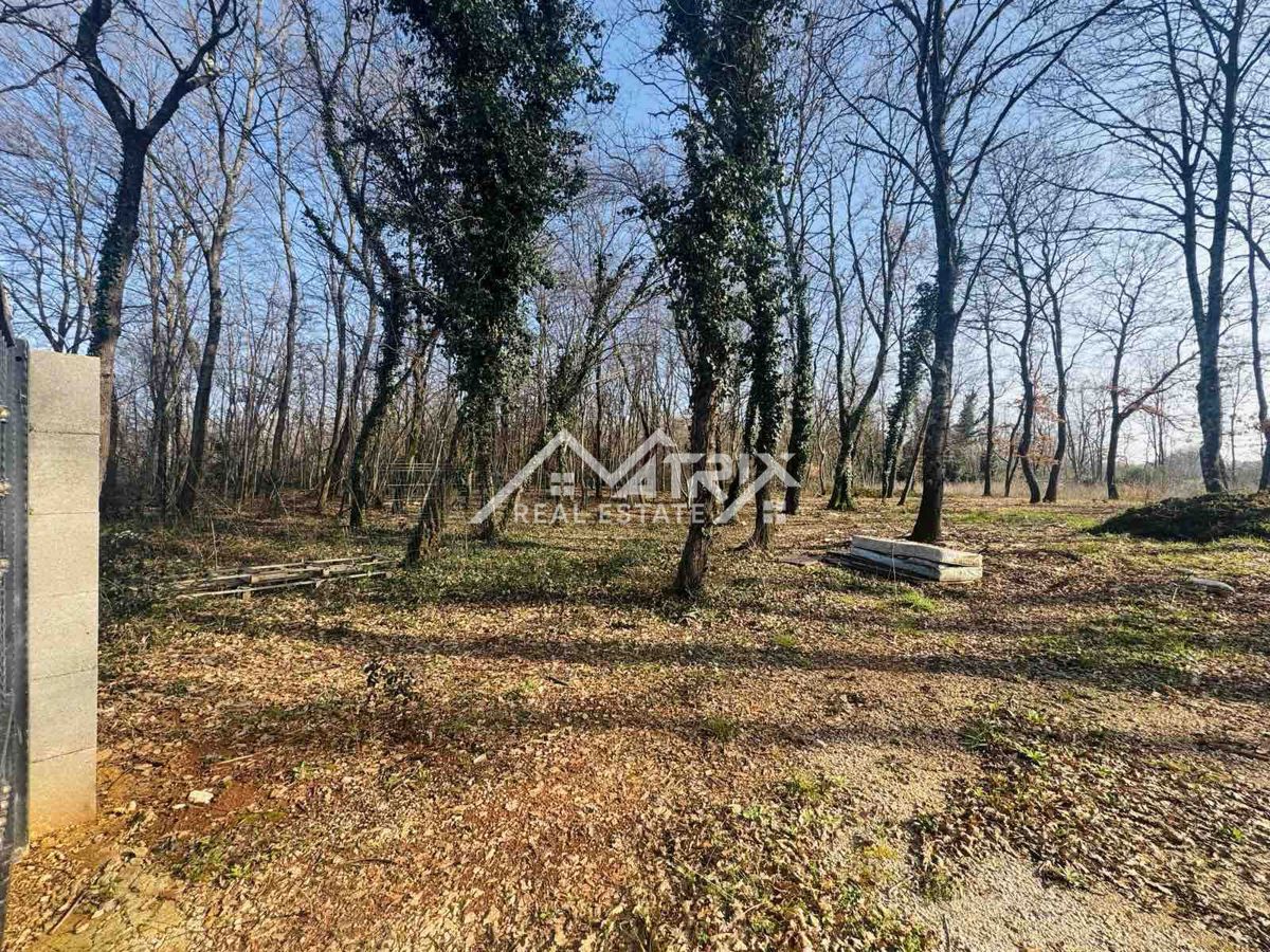 Umag – ograjena gozdna parcela 3.660 m² z vodnim priključkom na parceli, le 5 km od morja