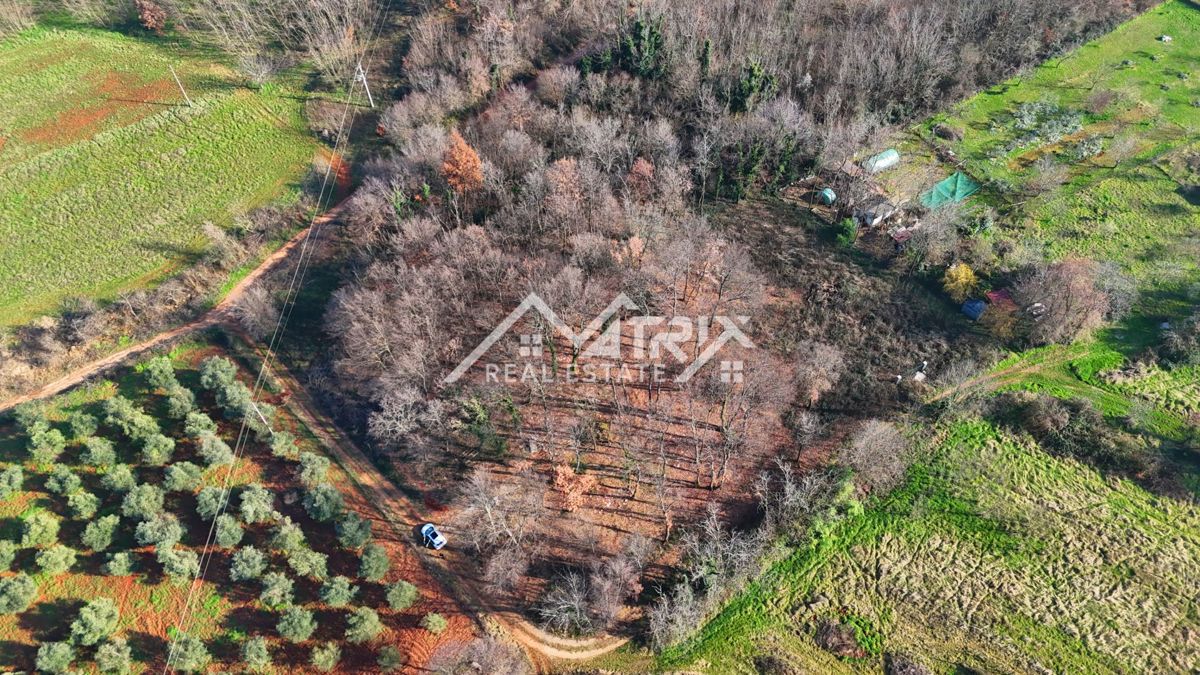 Umag – ograjena gozdna parcela 3.660 m² z vodnim priključkom na parceli, le 5 km od morja