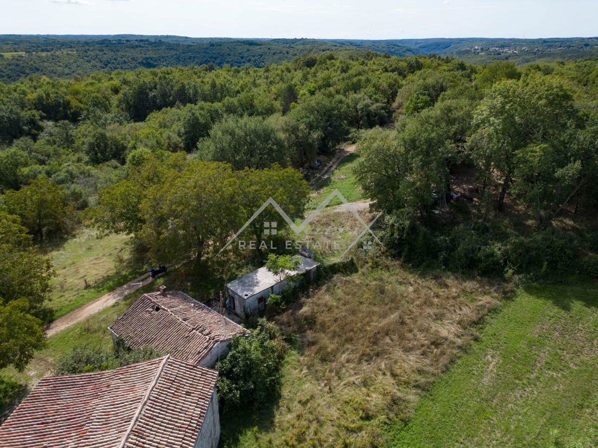 Okolica Tinjana, zazidljivo zemljišče s starino