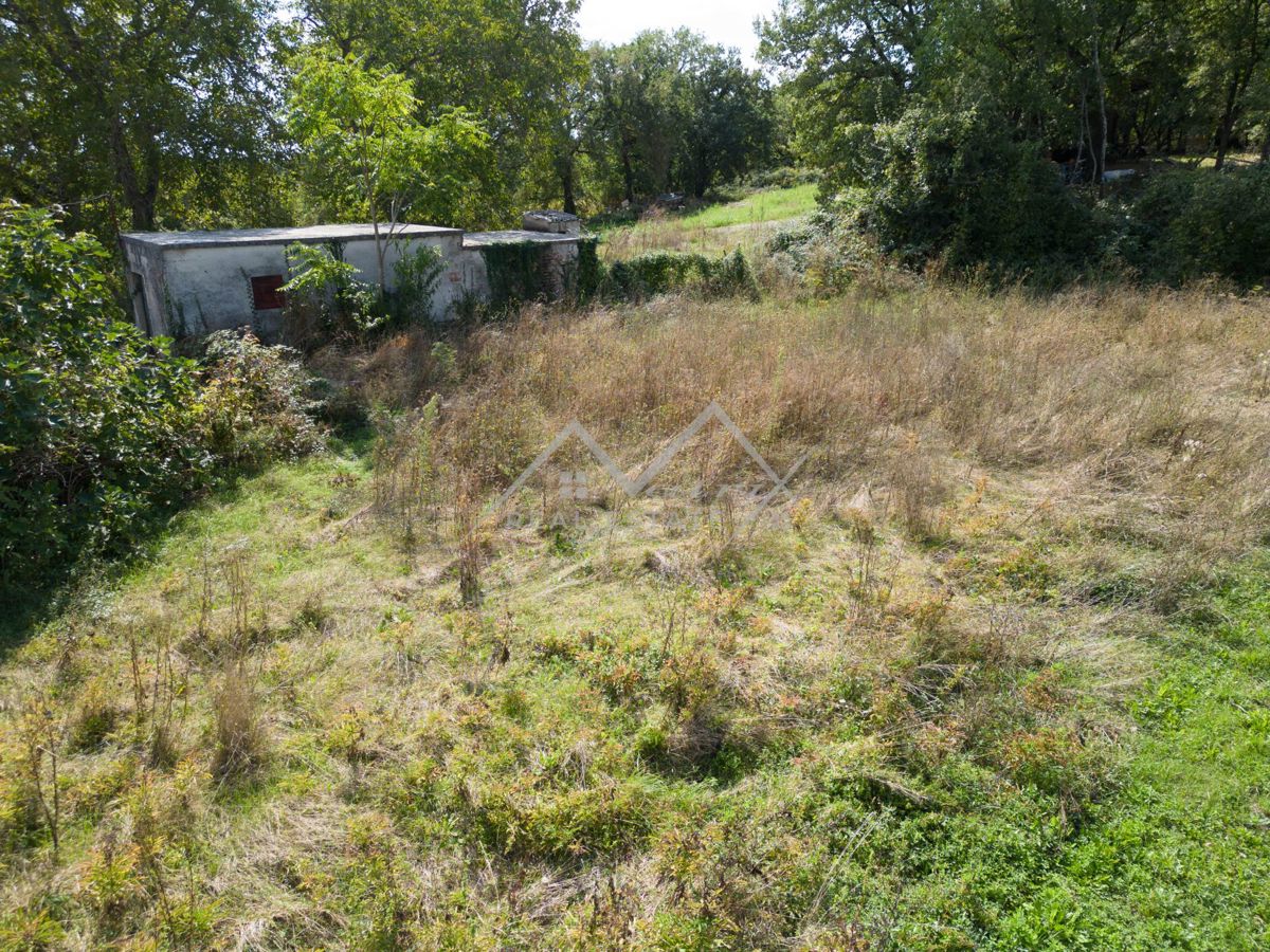 Okolica Tinjana, zazidljivo zemljišče s starino