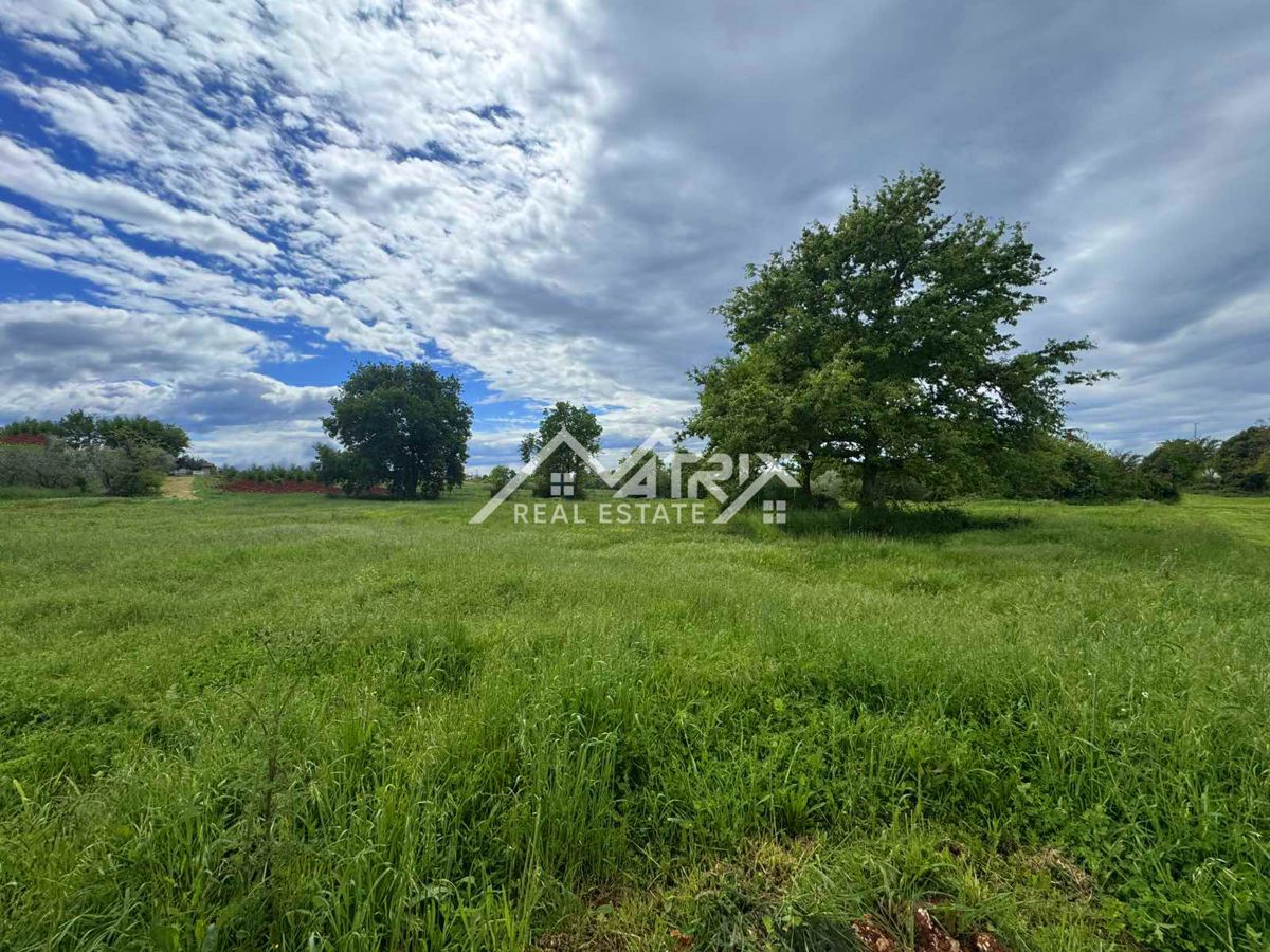 Novigrad, 2 km od morja, gradbeno zemljišče velikosti 649 m²