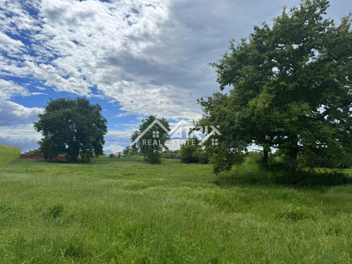Novigrad, 2 km od morja, gradbeno zemljišče velikosti 649 m²