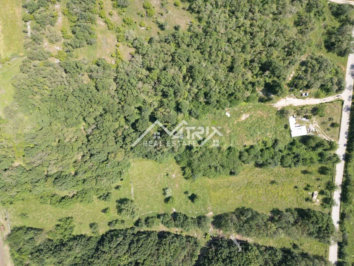 Okolica Novigrada, zemljišče za gospodarsko rabo