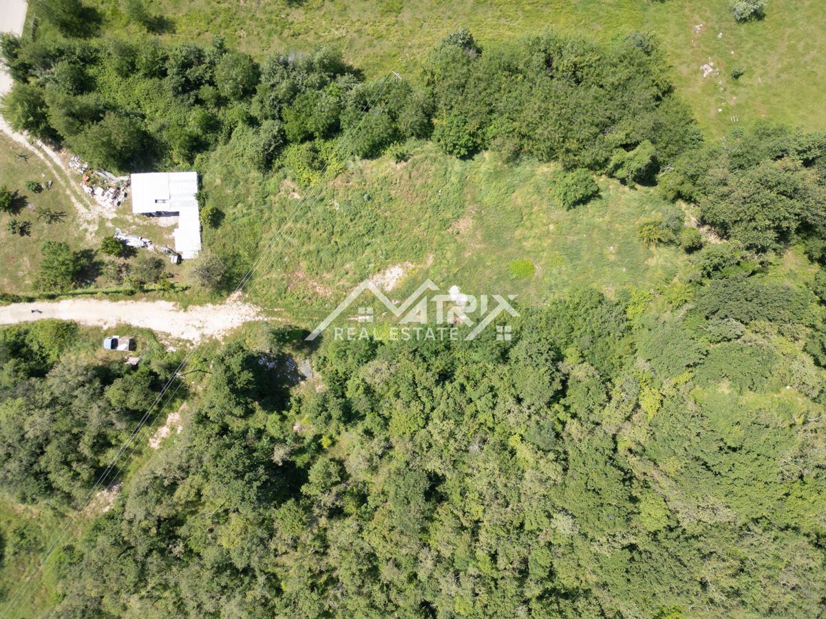Okolica Novigrada, zemljišče za gospodarsko rabo