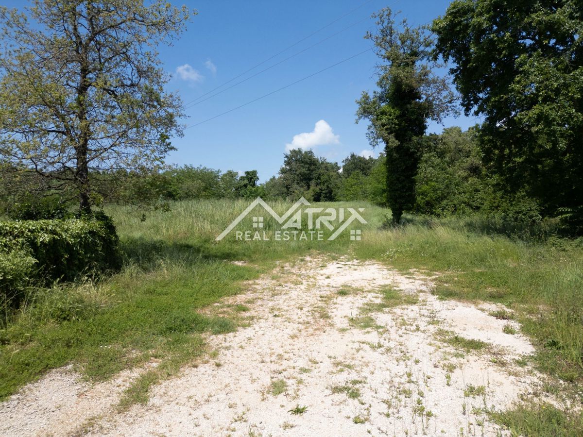 Okolica Novigrada, zemljišče za gospodarsko rabo