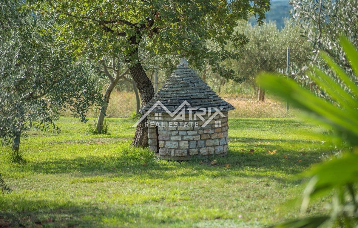 Rovinj okolica, posestvo z dvema hišama, bazen in pogled na morje