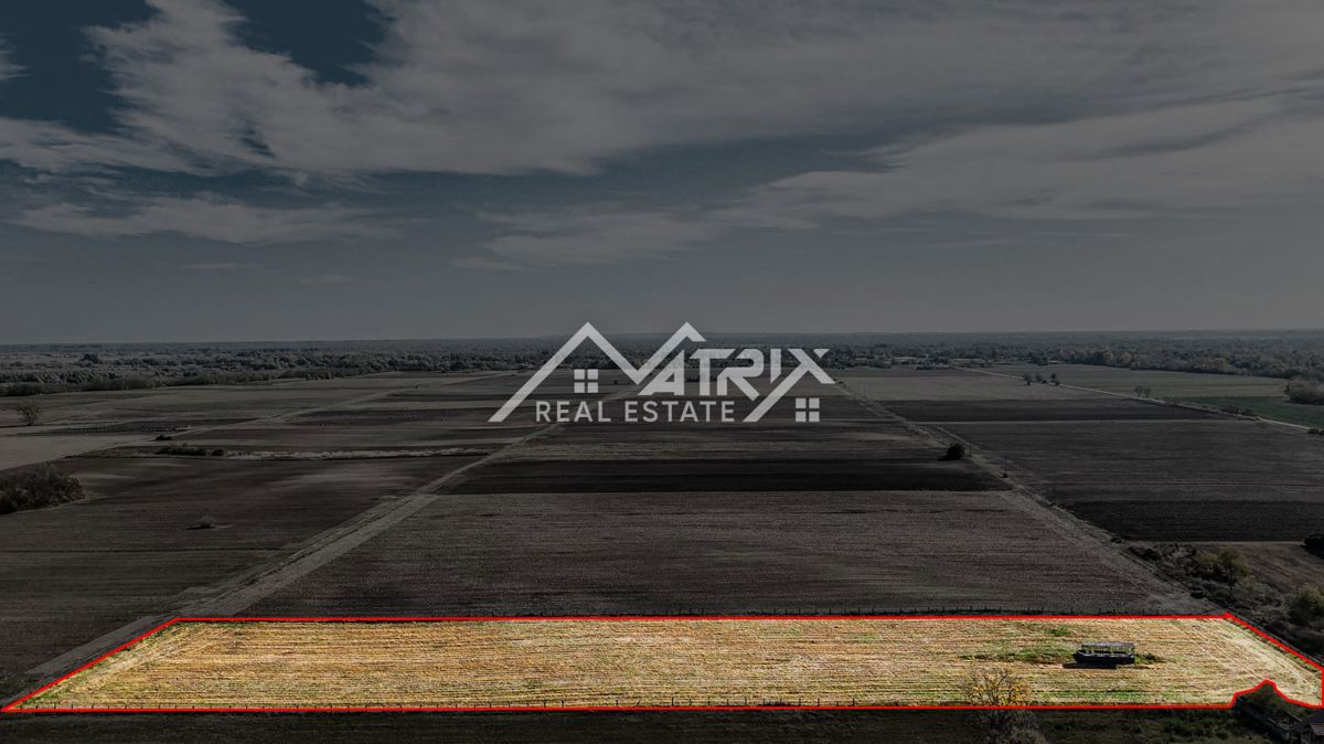 Zemljišče Bilje, 16.690m2