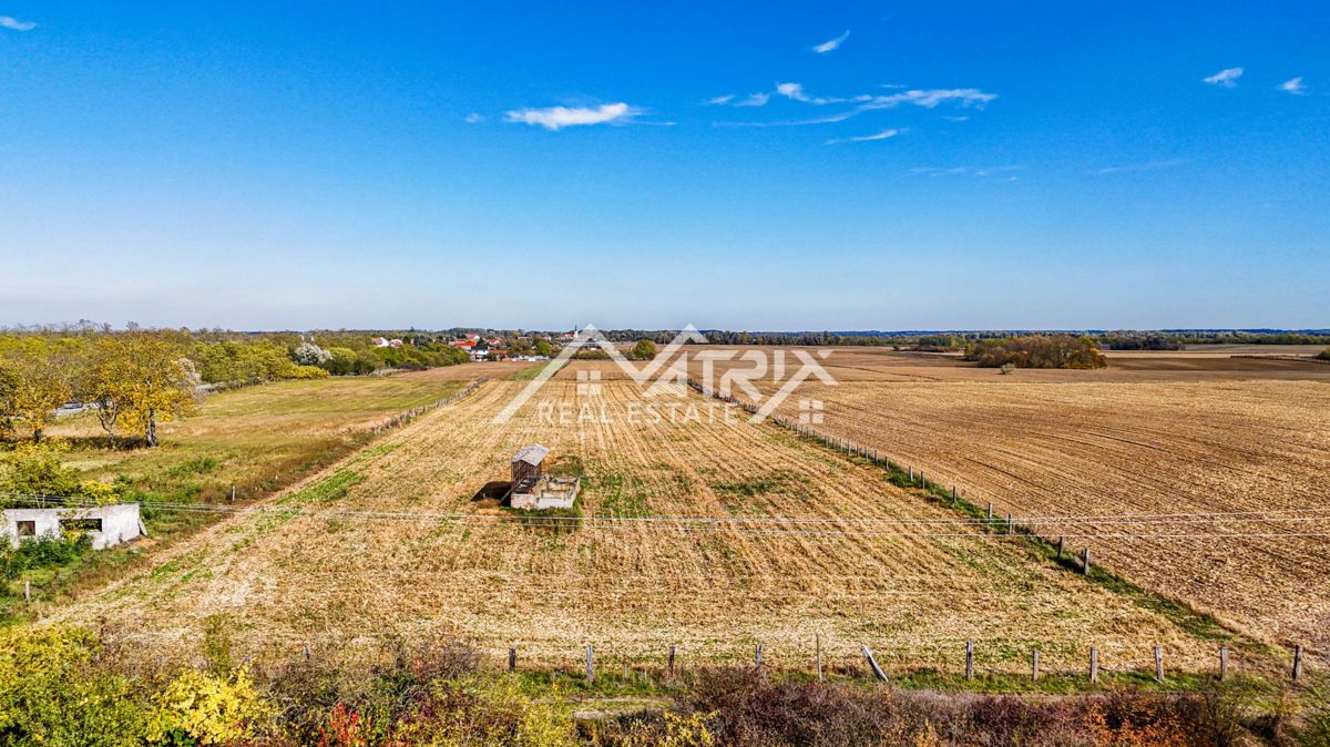 Zemljišče Bilje, 16.690m2