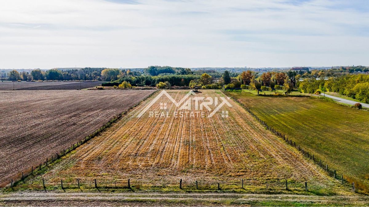 Zemljišče Bilje, 16.690m2