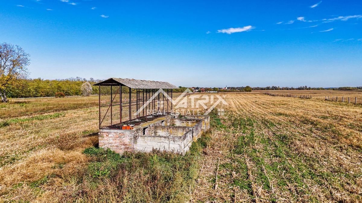 Zemljišče Bilje, 16.690m2