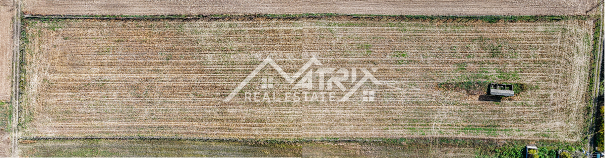 Zemljišče Bilje, 16.690m2