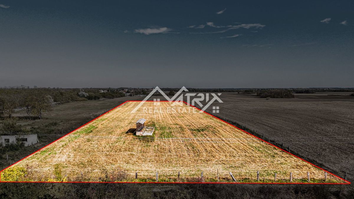 Zemljišče Bilje, 16.690m2