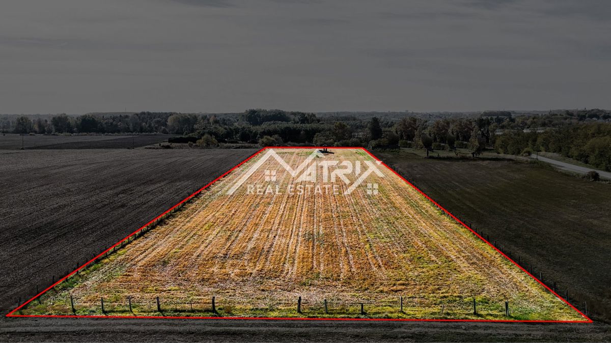 Zemljišče Bilje, 16.690m2