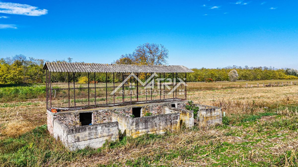 Zemljišče Bilje, 16.690m2