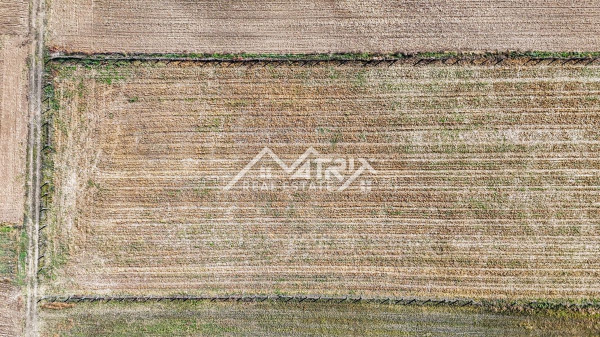 Zemljišče Bilje, 16.690m2