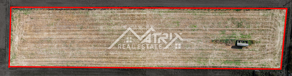 Zemljišče Bilje, 16.690m2