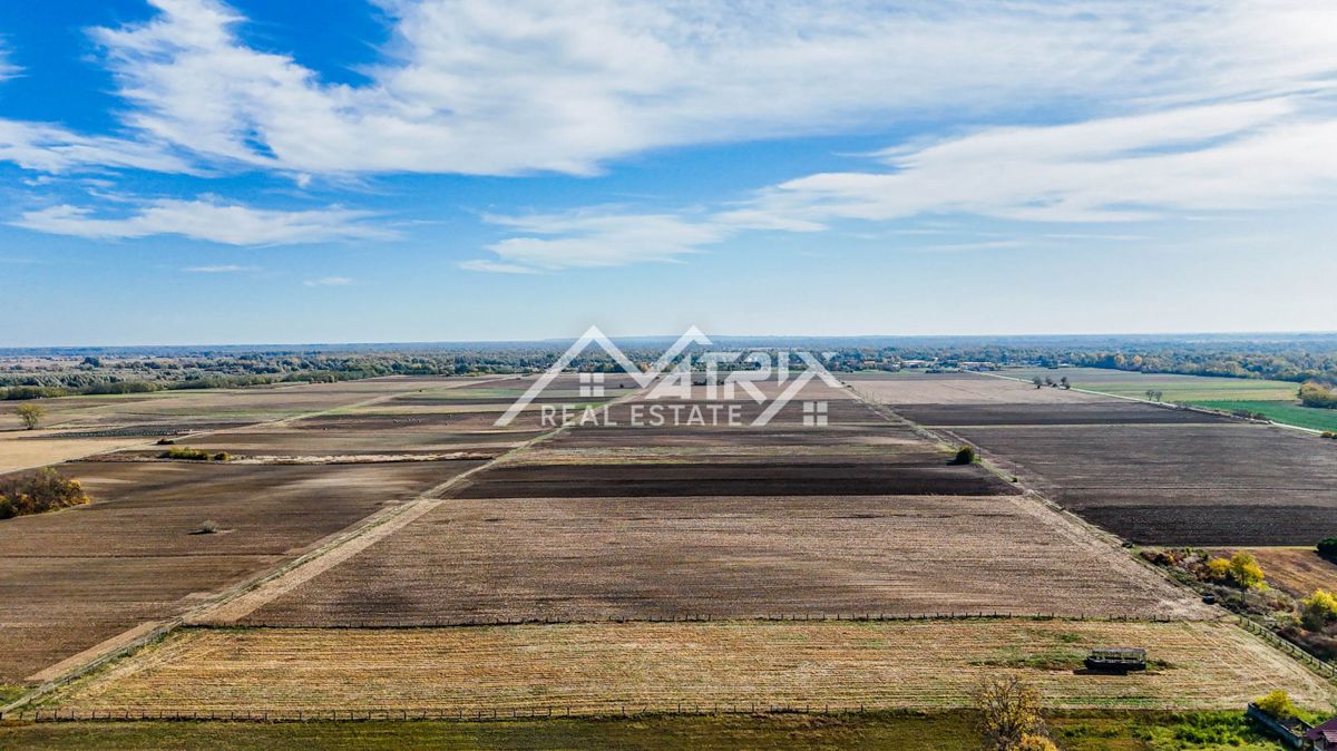 Zemljišče Bilje, 16.690m2