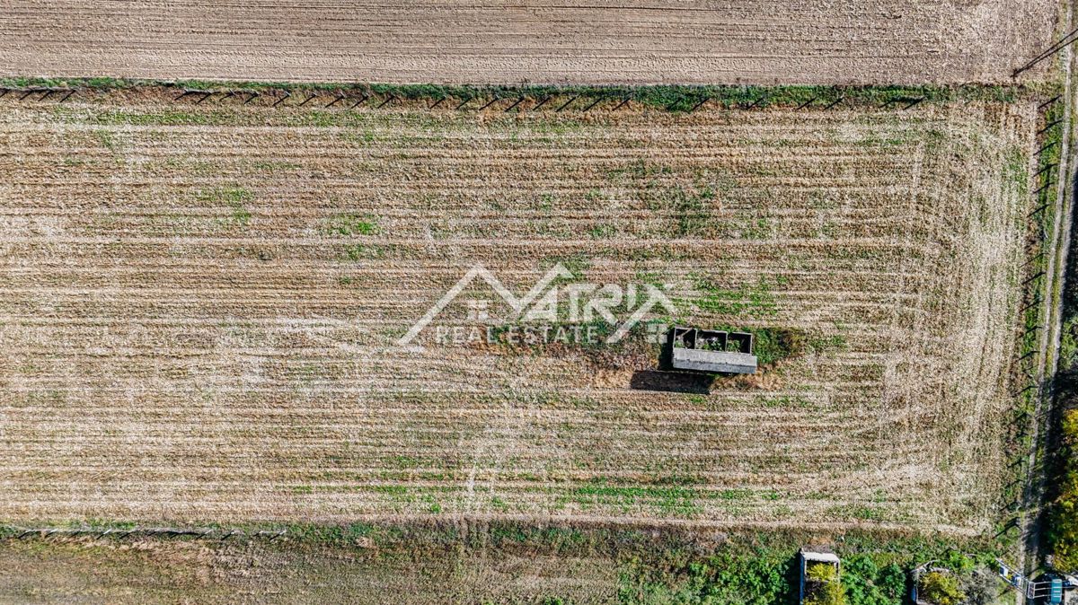 Zemljišče Bilje, 16.690m2