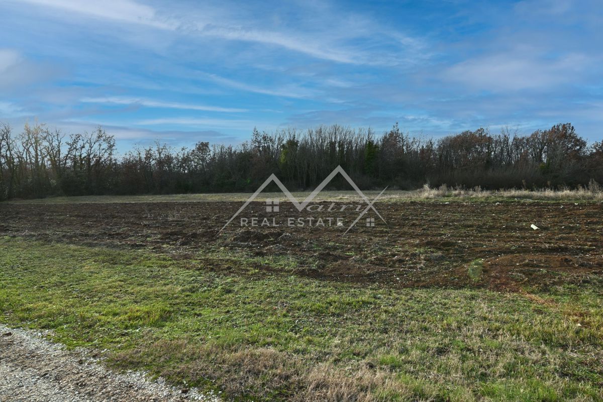 Zemljišče Novigrad, 800m2