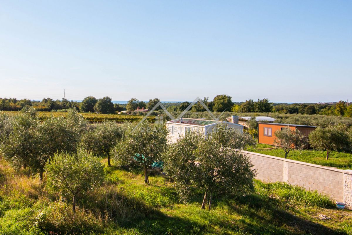 Okolica Poreča, 3 luksuzne vile v bližini morja