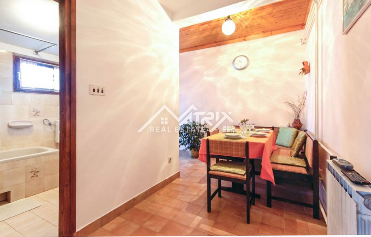 Šišan, hiša z apartmaji in velikim vrtom