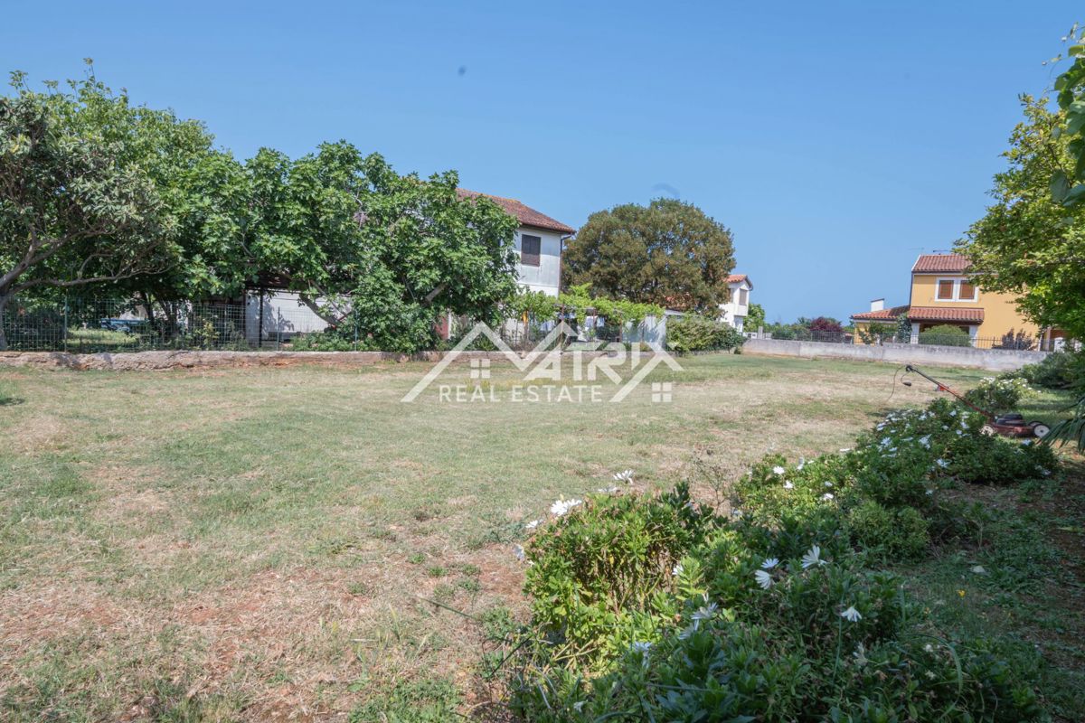 Šišan, hiša z apartmaji in velikim vrtom