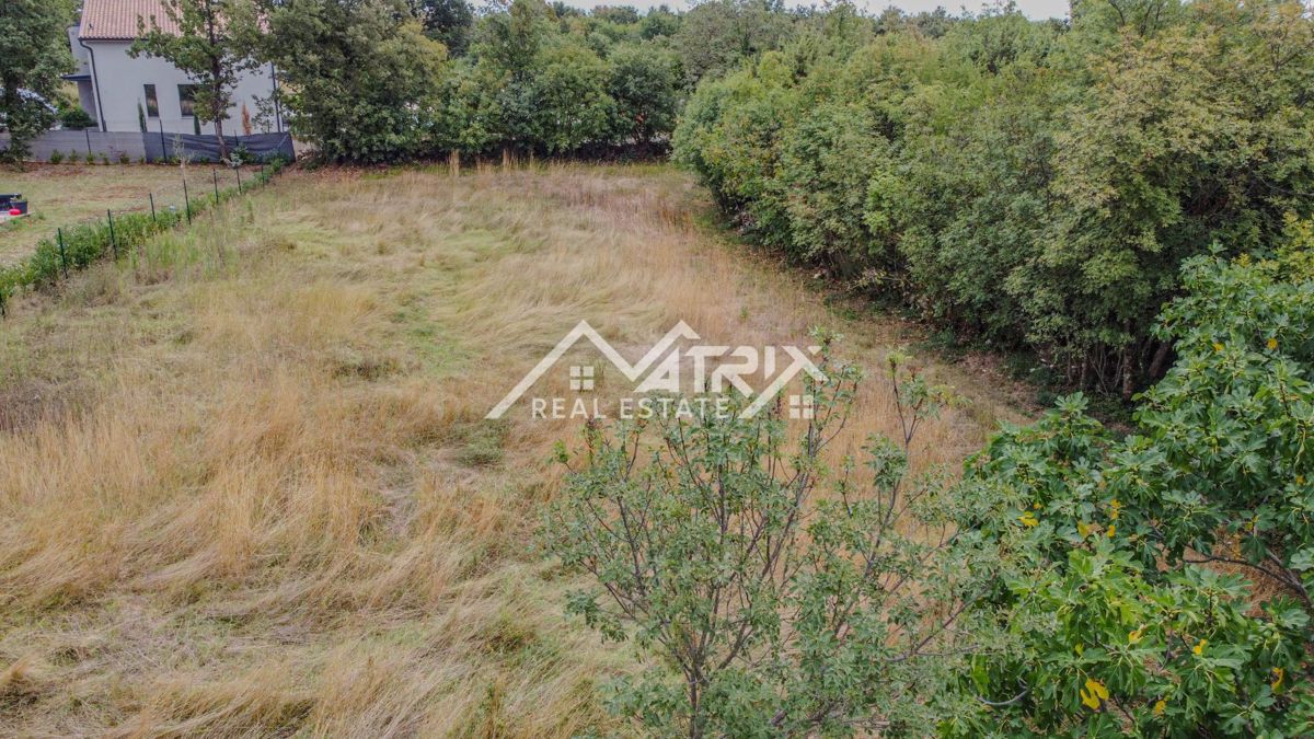 Vodnjan okolica, zazidljivo zemljišče v mirni naravi