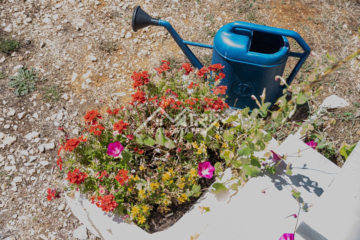 Poreč okolica, čudovita kamnita hiša z bazenom in velikim vrtom