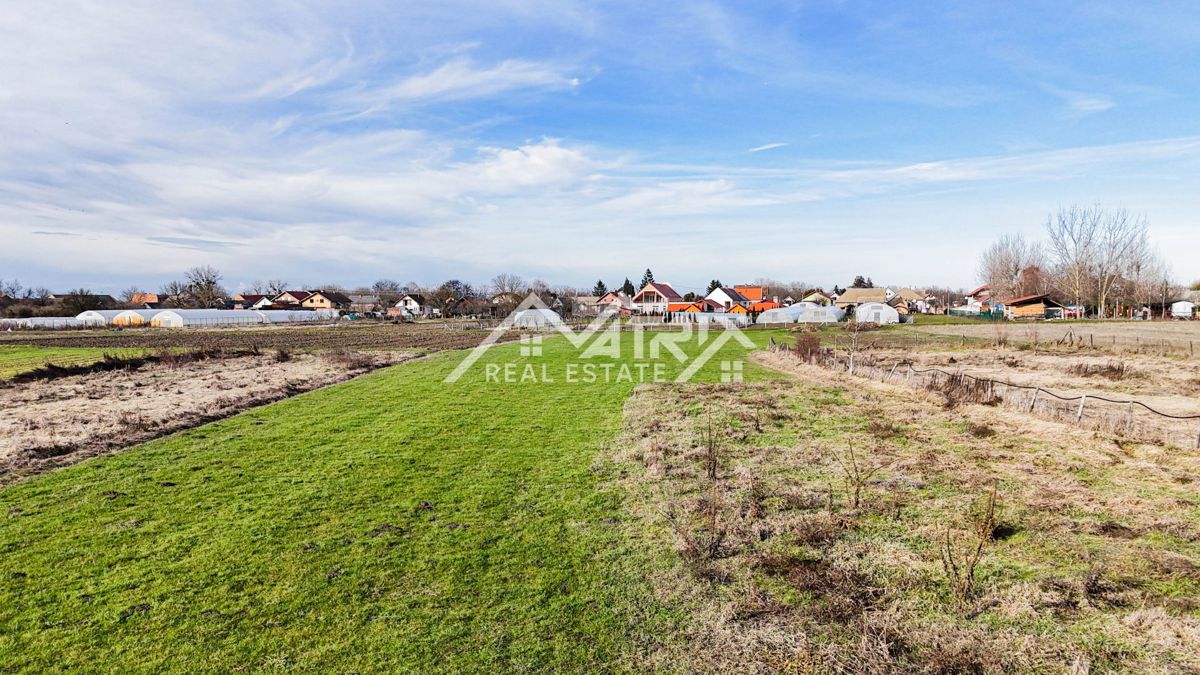 Stanovanje Kopačevo, Bilje, 370m2