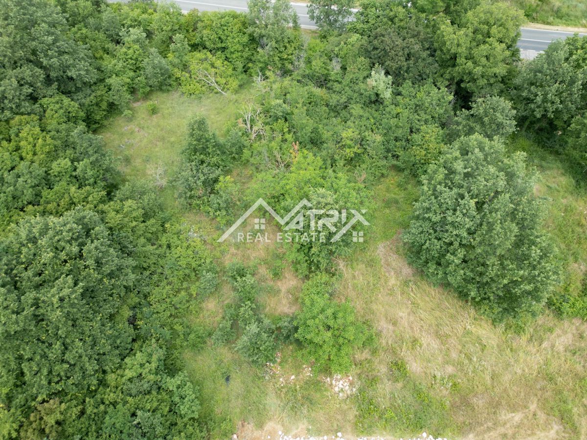 Okolica Poreča, zazidljivo in kmetijsko zemljišče