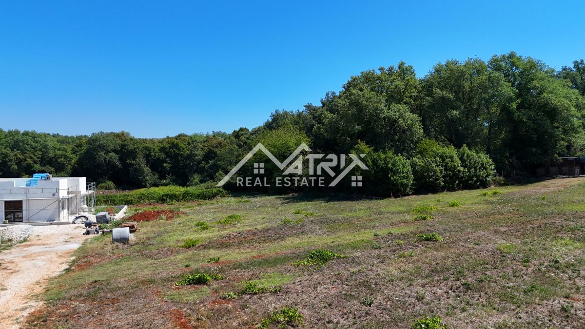  Novigrad okolica, atraktivno zazidljivo zemljišče
