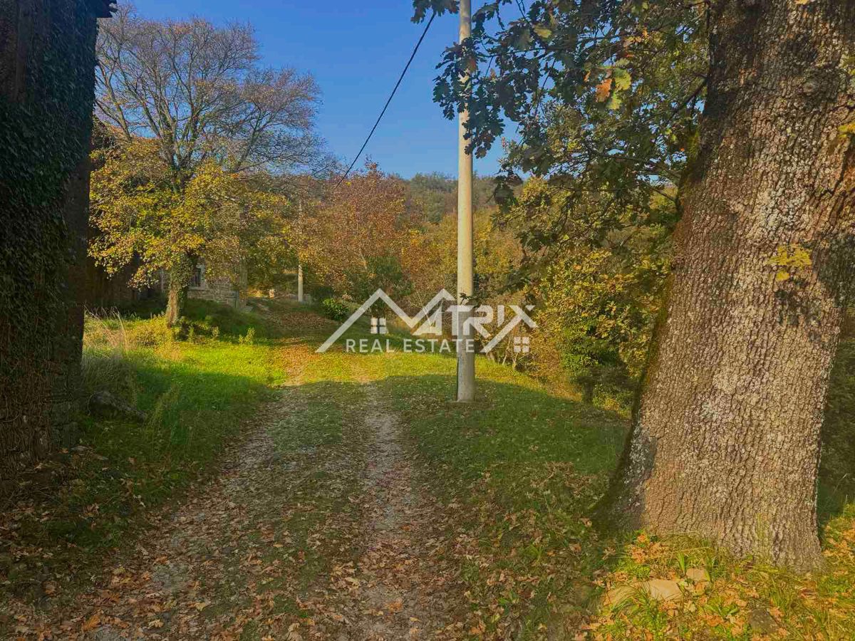 Motovunsko okolje, avtentičen kamniti kompleks na griču