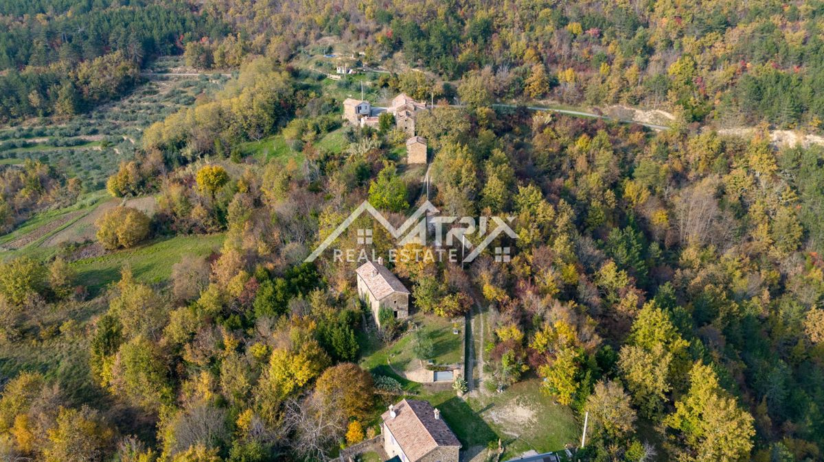 Motovunsko okolje, avtentičen kamniti kompleks na griču