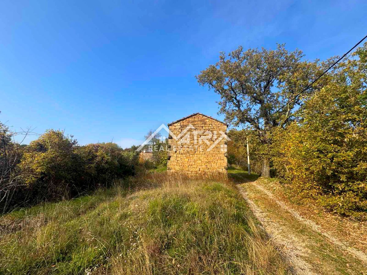 Motovunsko okolje, avtentičen kamniti kompleks na griču