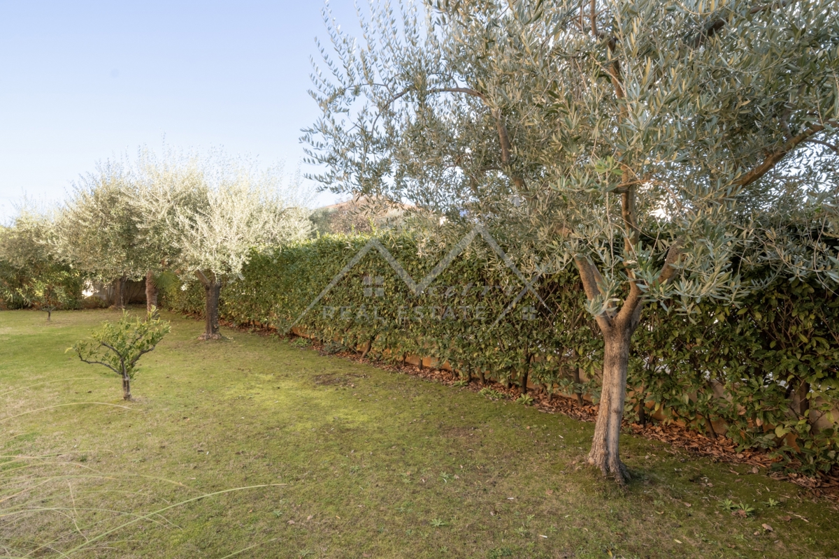 Novigrad, stanovanje z bazenom na čudoviti lokaciji