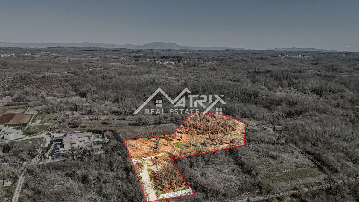 Tinjan, širše območje - Ekskluziven projekt – 8 luksuznih vil z bazeni!
