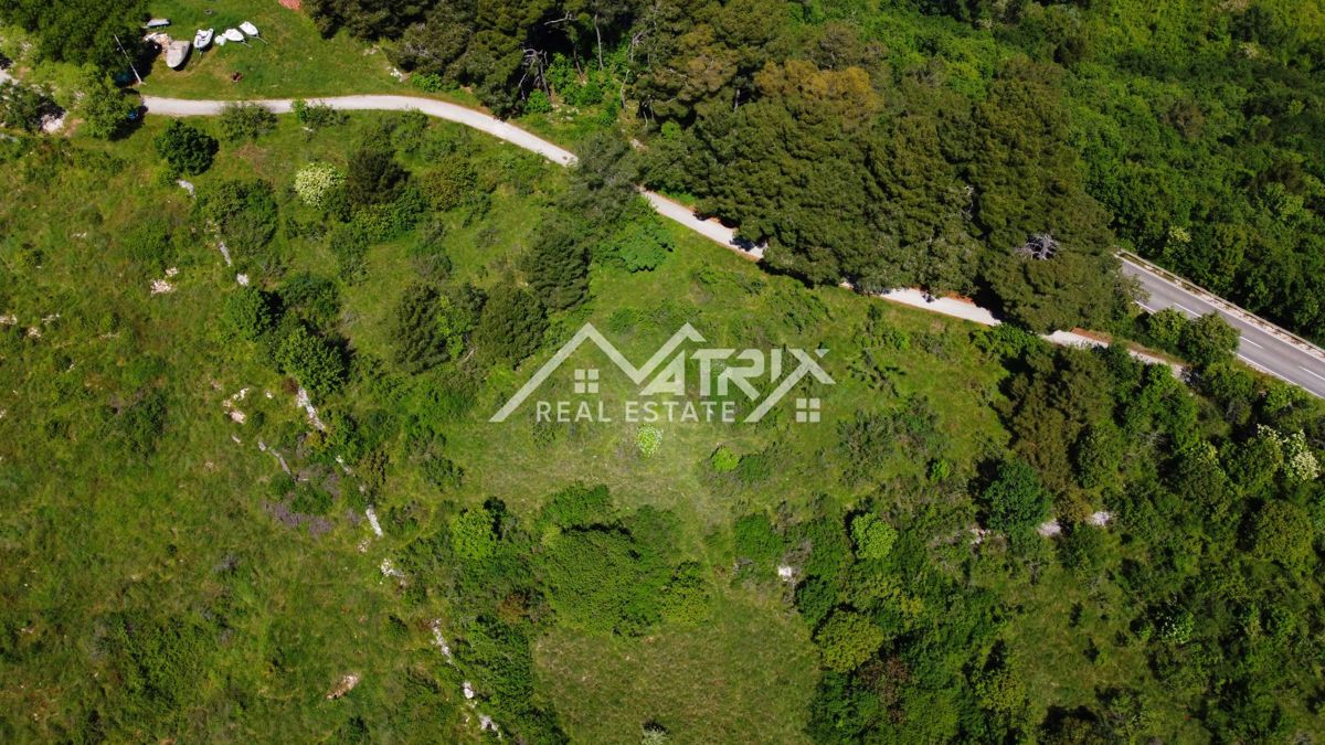 Buj okolica, zazidljivo zemljišče velikosti 1008 m²