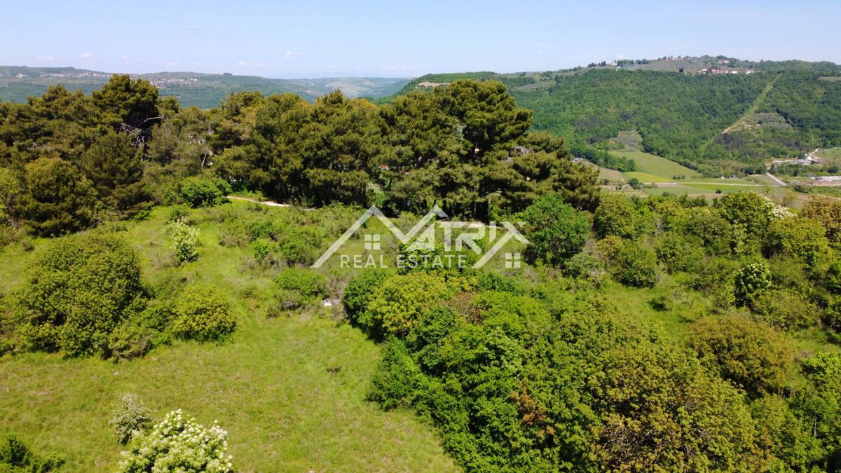 Buj okolica, zazidljivo zemljišče velikosti 1008 m²