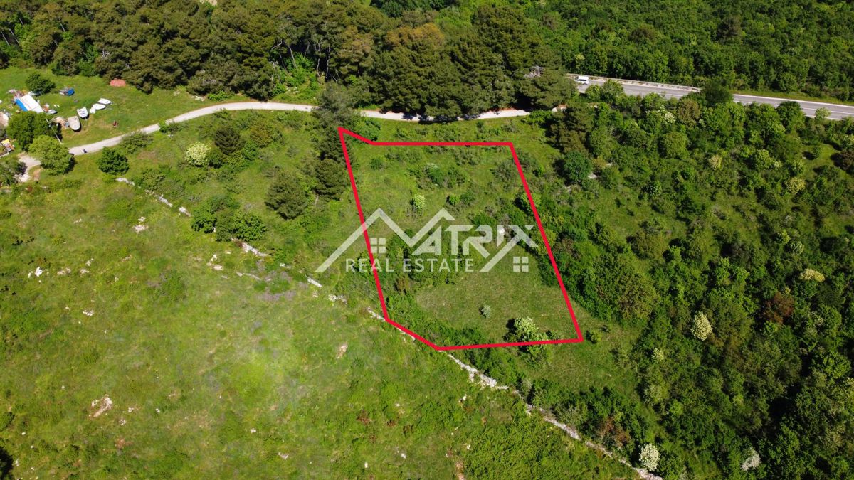 Buj okolica, zazidljivo zemljišče velikosti 1008 m²