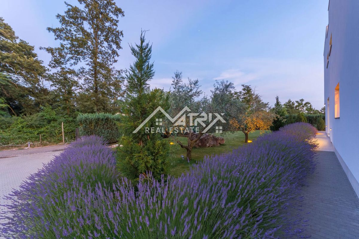 Žminj, luksuzna pametna vila z wellnessom in 2 bazenoma