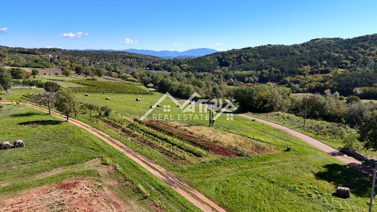 Oprtalj okolica, zazidljivo zemljišče na robu vasi