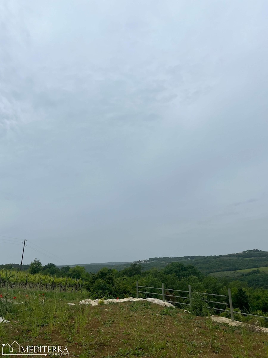 Čudovita Vila z odprtim pogledom na morje, Grožnjan, Istra