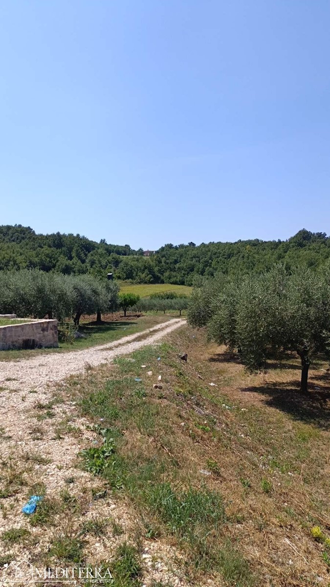 Zazidljivo zemljišče v Vižinadi, Istra