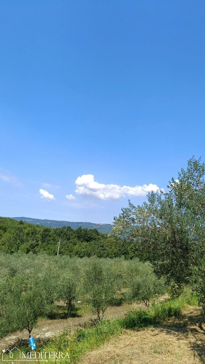 Zazidljivo zemljišče v Vižinadi, Istra